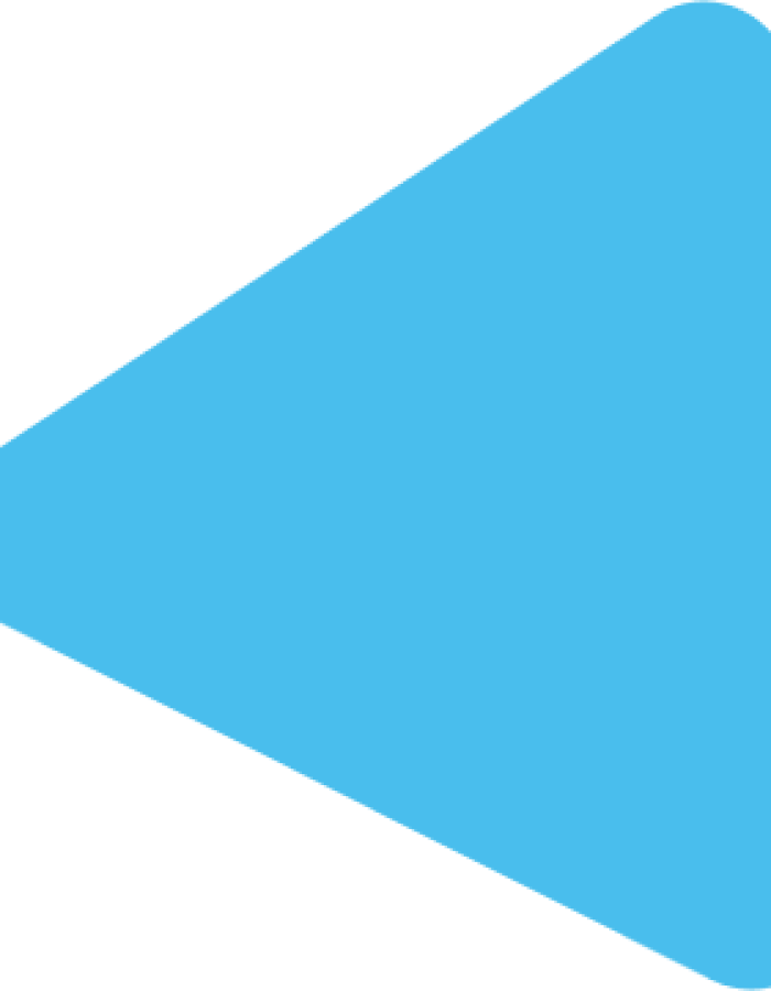 Polygon 1